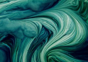 Les bienfaits de la spiruline, selon Jean-Pierre Valentini