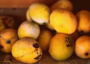 Les mangues pour les diabétiques