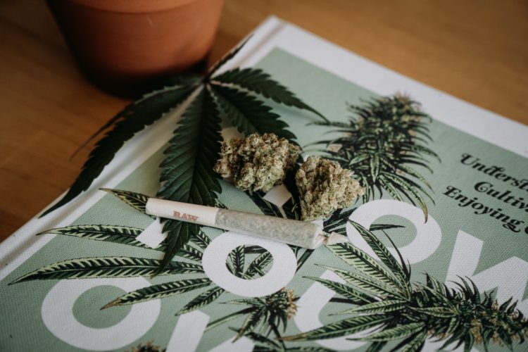 Cannabis : Les dangers pour les bébés au premier trimestre de la grossesse