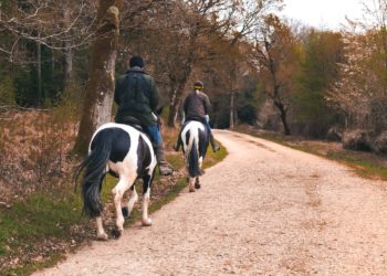 Les bienfaits de l'équitation