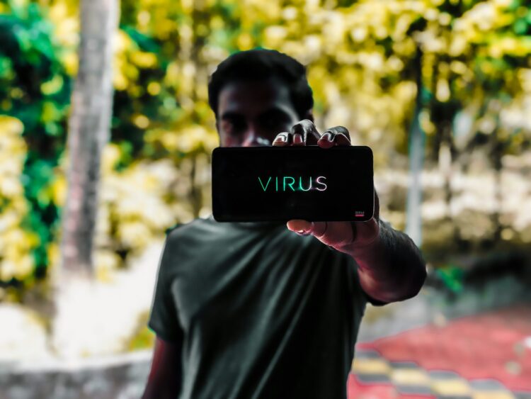 Hantavirus, tout sur ce virus